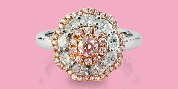 Pink Diamond Open Day Warriewood, October 09, 2025