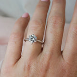 Chloe-White Gold-Round Brilliant Cut Six Claw Set Solitaire Diamond Engagement Ring
