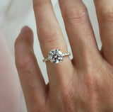 Angelina-Yellow Gold-Round Brilliant Cut Four Claw Set Diamond Engagement Ring with Diamond Set Band