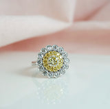 Double Halo Diamond Ring