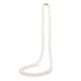 Freshwater Pearl Strand with 9ct Yellow Gold Clasp