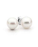 Classic White Freshwater Pearl Stud Earrings