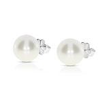 South Sea Pearl Stud Earrings