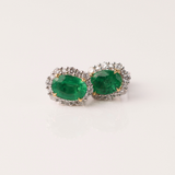 18ct White Gold Halo Stud Emerald Earrings