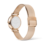 Daniel Wellington Petite Reflection Rose Gold Watch