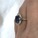 'Bronte' Platinum Tanzanite, Diamond & Black Diamond Halo Ring