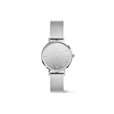 Daniel Wellington Petite Reflection Silver Watch