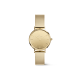 Daniel Wellington Petite Reflection Gold Watch